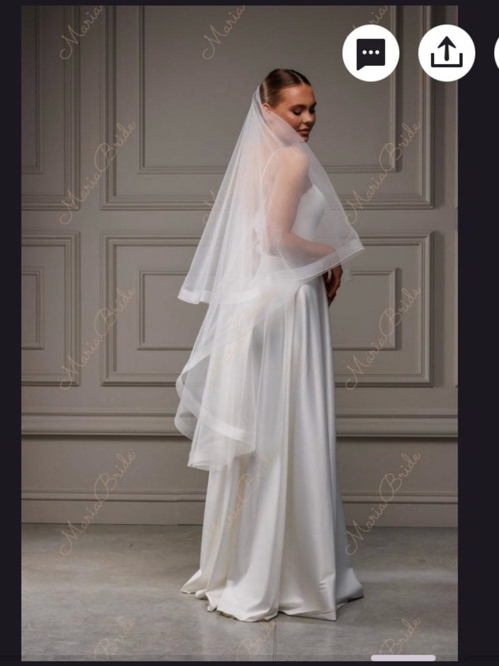 NWT Bridal Veil - Horsehair trim with Blusher
